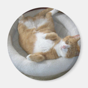 Imã Gato Feliz