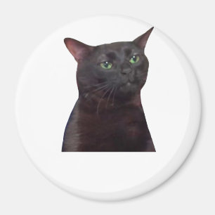 Imã Gato fora do ar, fora do ar