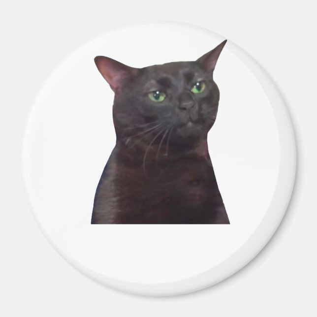 Imã Gato fora do ar, fora do ar (Frente)