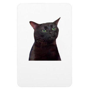 Ímã Gato fora do ar, zonado