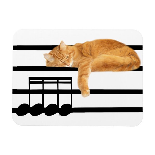 Ímã Gato-gato-de-mesa (Horizontal)