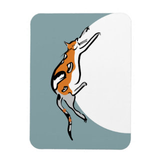 Ímã Gato Gelado Preguiçoso Tricolor Engraçado