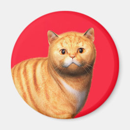 Imã Gato Gengibre 3 Ímã