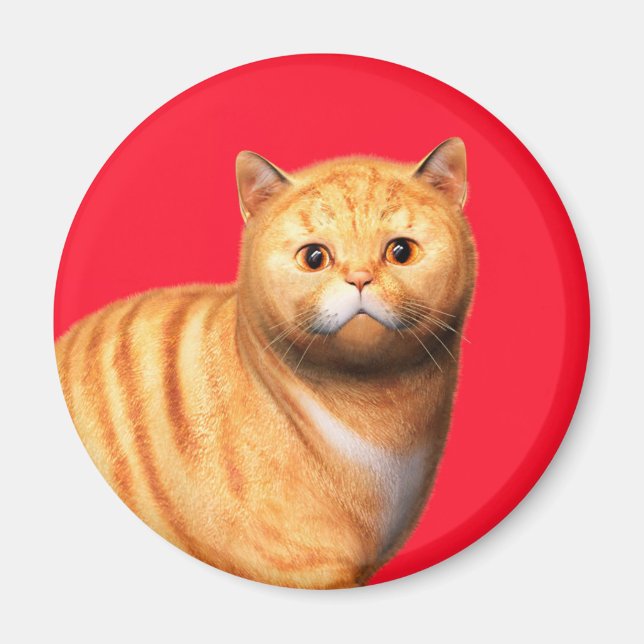 Imã Gato Gengibre 3 Ímã (Frente)
