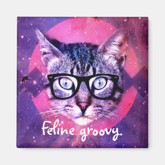 Imã Gato Groovy Ímã de Gato