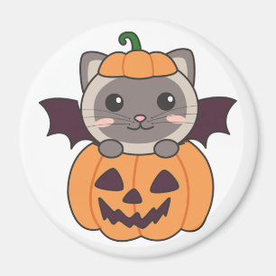 Imã Gato Halloween Pumpkin Bat Costume