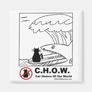 Imã Gato Hater Surfing Magnet