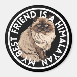 Imã Gato Himalaia Melhor Amigo