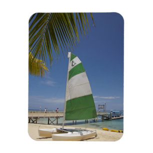 Ímã Gato Hobie, Resort da Ilha Plantation