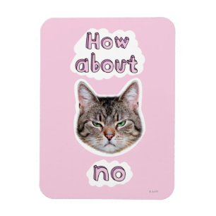 Ímã Gato Irritado