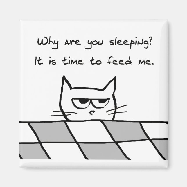 Imã Gato Irritado Quer Você Fora Da Cama (Frente)