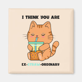 Imã Gato laranja você é um belo bobo rosa