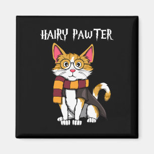 Imã Gato Mágico Com Gles Que Gato
