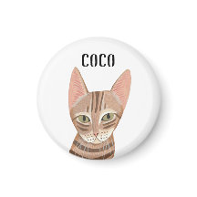 Gato moderno ilustrado laranja giro