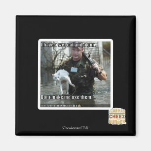 Imã Gato molhado e arma