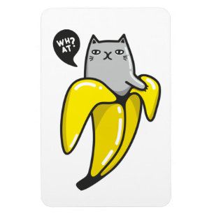 Ímã Gato na banana