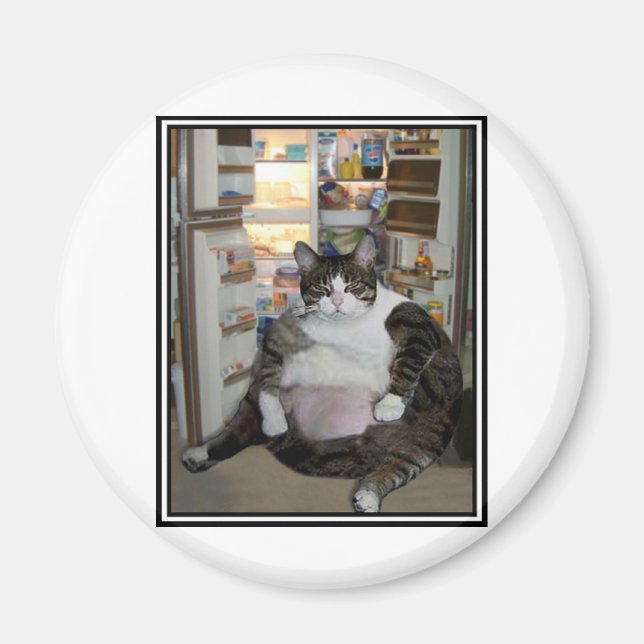 IMÃ GATO NA ESFERA (Frente)