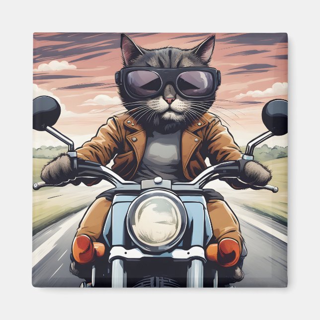 Imã Gato na moto (Frente)