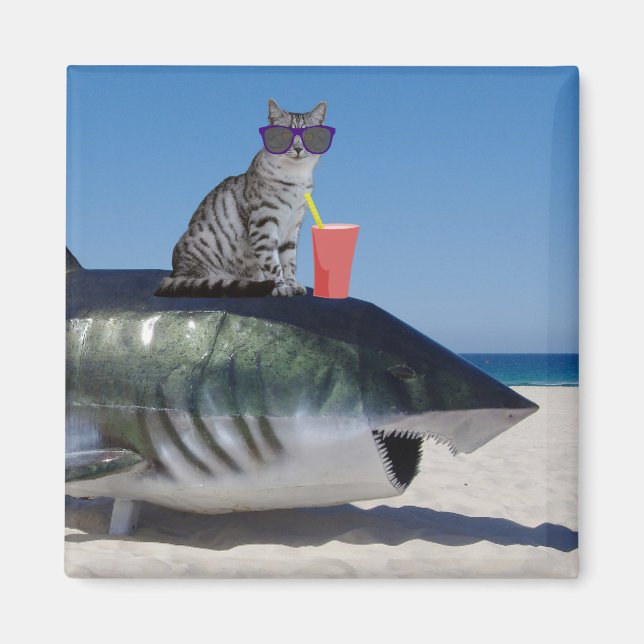 IMÃ GATO NA PRAIA SHARK MAGNET (Frente)