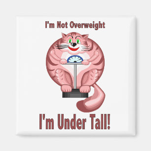 Imã Gato: Nao excesso de peso