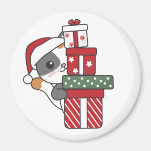 Imã Gato Natal Presente Inverno Animais Gatos Magnet