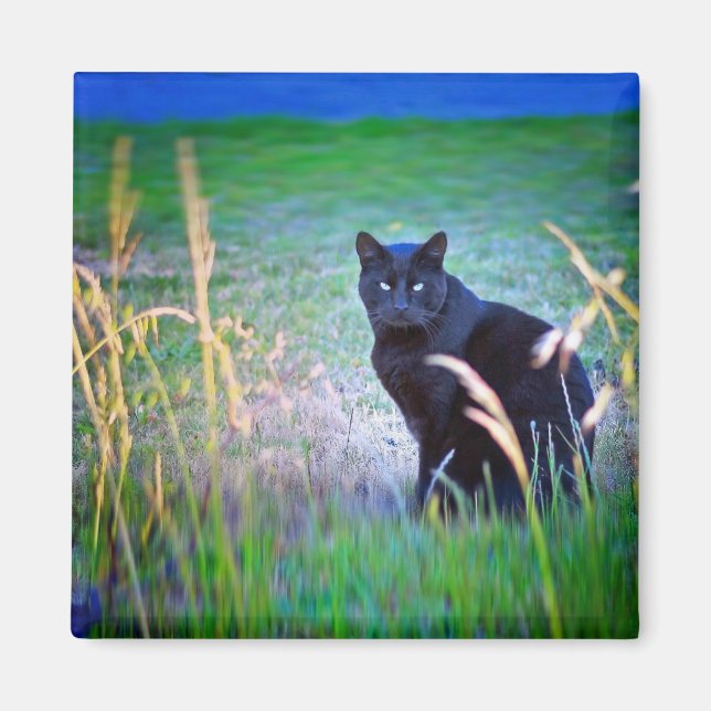 Imã Gato Negro (Frente)