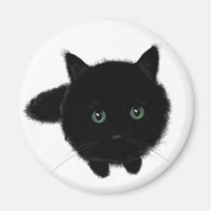 Imã Gato Negro