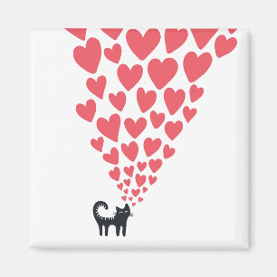 Imã Gato no amor