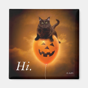 Imã Gato no Balão de Halloween