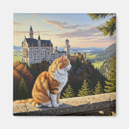 Imã Gato no Castelo de Neuschwanstein na Alemanha Viag