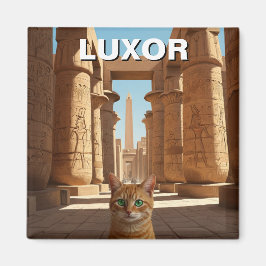 Imã Gato no Luxor Egito no Templo Karnak Viagem