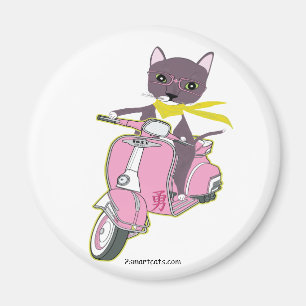 Imã Gato no rosa
