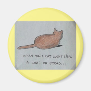 Imã Gato parece pão pão pão pão pão fourado, mass