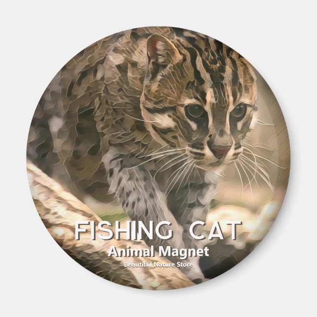 Imã Gato Peixeiro (Frente)