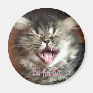 Imã Gato Persa Engraçado Rindo Gatinho de Cinzas Humor