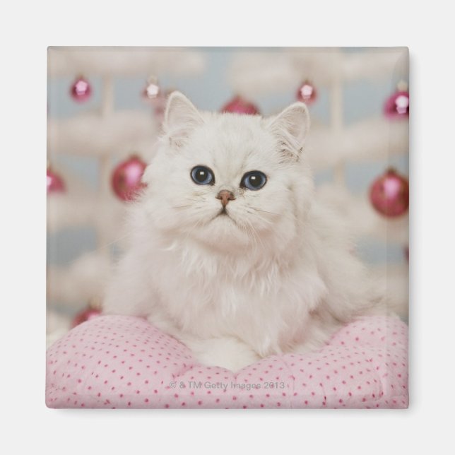 Imã Gato persa sentado no travesseiro rosa (Frente)