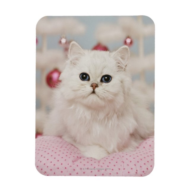Ímã Gato persa sentado no travesseiro rosa (Vertical)