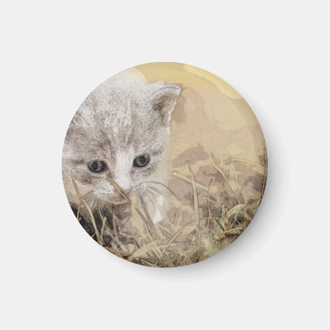 Imã Gato, Pet, Gato (Frente)