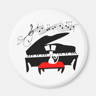 Imã Gato & piano