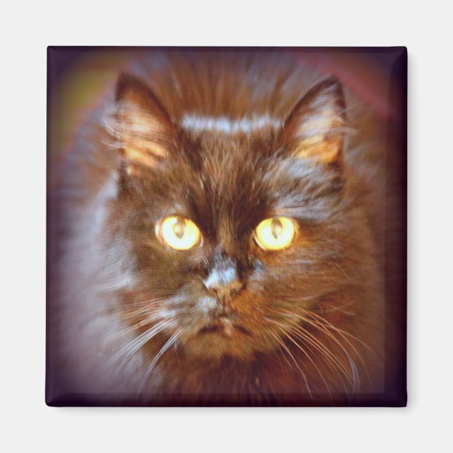 Imã gato preto (Frente)