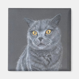 Imã Gato preto