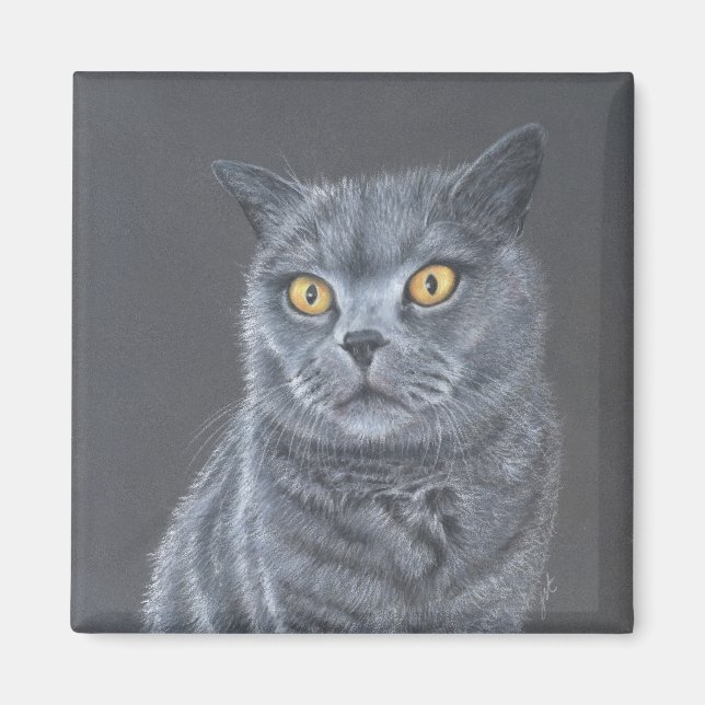 Imã Gato preto  (Frente)