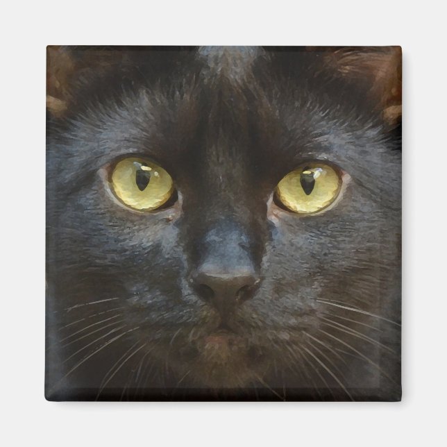 Imã Gato preto assustador (Frente)