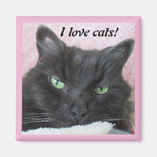 Imã Gato Preto De Olho Verde Em Aberto Rosa