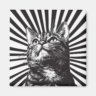 Imã Gato preto e branco