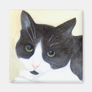 Imã Gato Preto e Branco