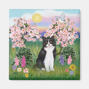 Imã Gato Preto e Branco - Brilhantes