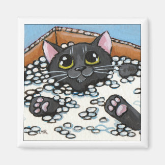 Imã Gato Preto em uma Caixa de Amendoins | Magneta