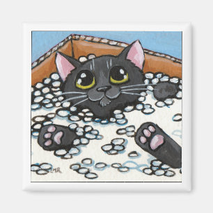 Imã Gato preto em uma caixa do ímã do gato dos
