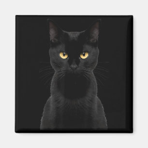 Imã Gato Preto Olhos Amarelos Gato Bravo Gato Engraçad